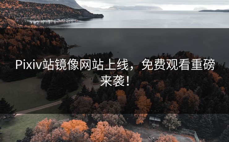 Pixiv站镜像网站上线，免费观看重磅来袭！