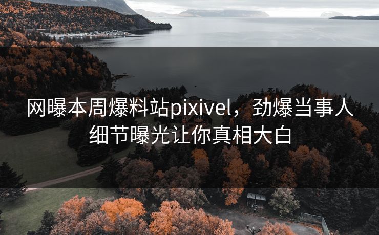 网曝本周爆料站pixivel，劲爆当事人细节曝光让你真相大白