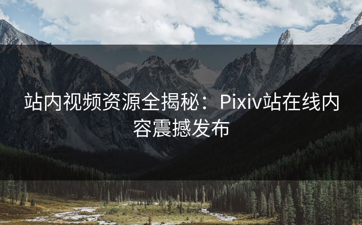 站内视频资源全揭秘：Pixiv站在线内容震撼发布
