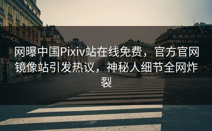 网曝中国Pixiv站在线免费，官方官网镜像站引发热议，神秘人细节全网炸裂