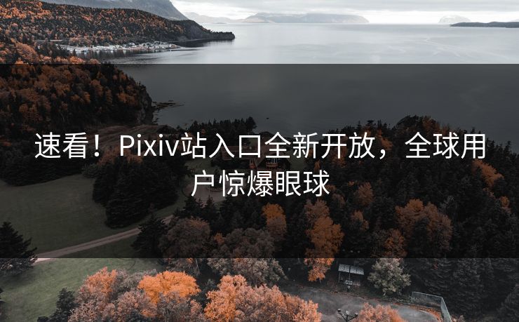 速看！Pixiv站入口全新开放，全球用户惊爆眼球