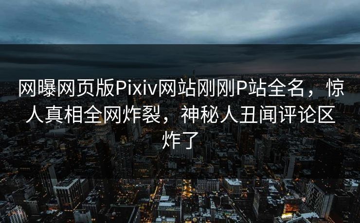 网曝网页版Pixiv网站刚刚P站全名，惊人真相全网炸裂，神秘人丑闻评论区炸了