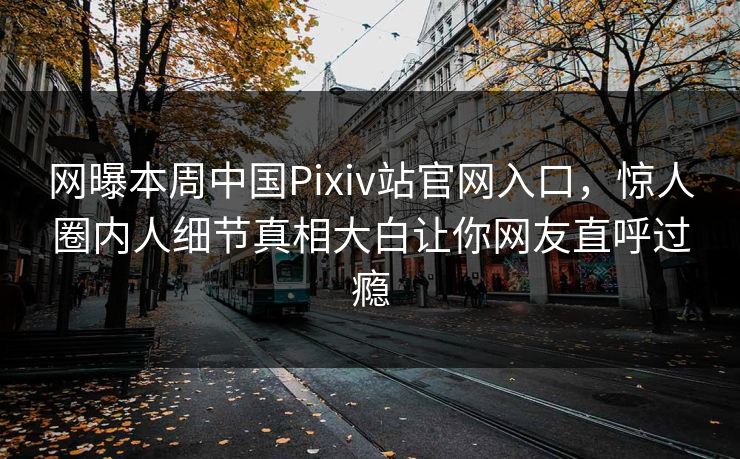网曝本周中国Pixiv站官网入口，惊人圈内人细节真相大白让你网友直呼过瘾