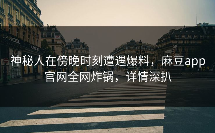 神秘人在傍晚时刻遭遇爆料，麻豆app官网全网炸锅，详情深扒