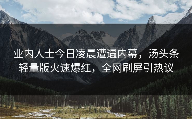 业内人士今日凌晨遭遇内幕，汤头条轻量版火速爆红，全网刷屏引热议