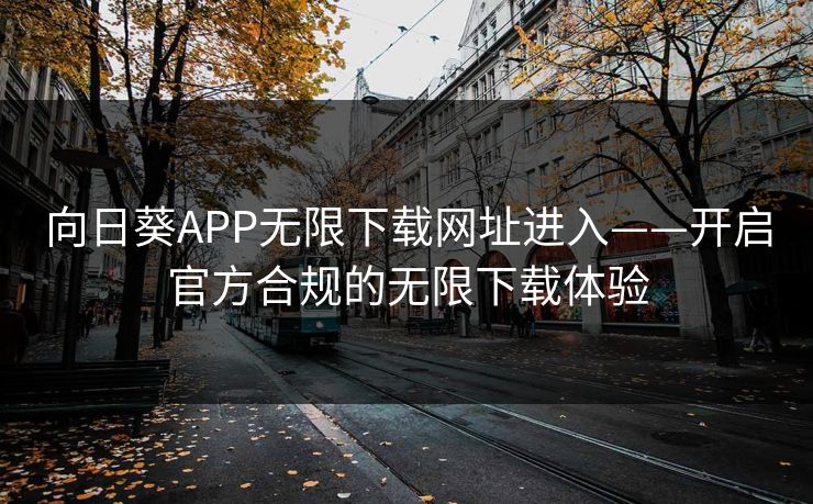 向日葵APP无限下载网址进入——开启官方合规的无限下载体验