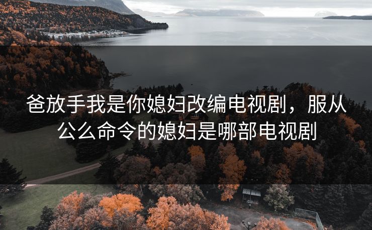 爸放手我是你媳妇改编电视剧，服从公么命令的媳妇是哪部电视剧
