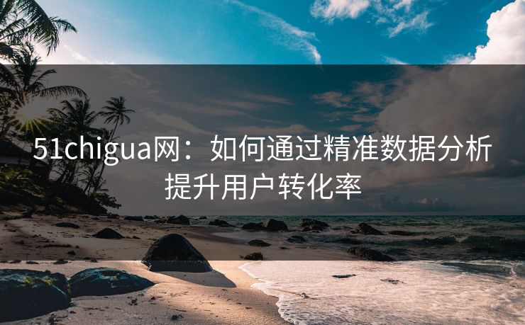 51chigua网：如何通过精准数据分析提升用户转化率